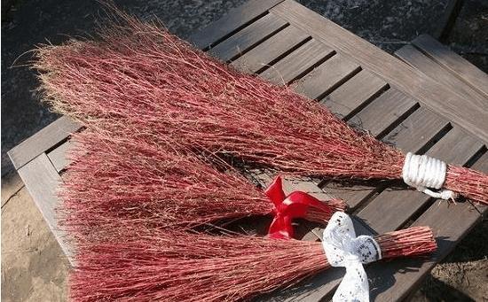 农村这种野草，农民专门拿来做扫帚，又是好吃的野菜，竟还治病！