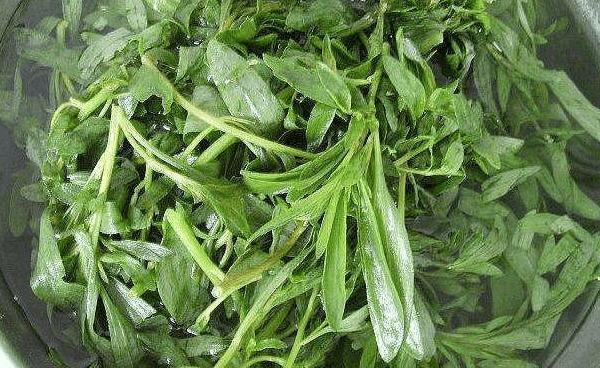 农村这种野草，农民专门拿来做扫帚，又是好吃的野菜，竟还治病！