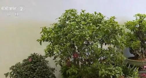 早读丨2019亚洲大学排名榜  清华大学排行亚洲第一