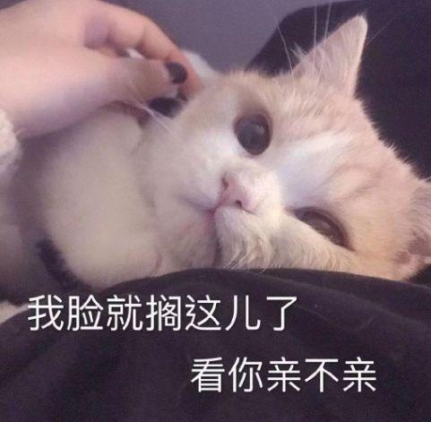 戛纳电影节红黑榜：章子怡意气风发，李宇春造型让人看不懂