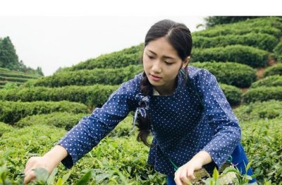 ​10张照片直击农村女人劳动美，哪一张你最欣赏？