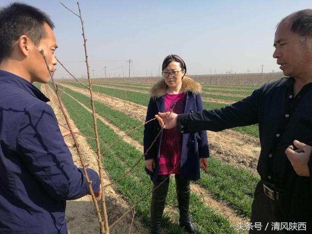 陕西西安：一位公益女记者感人至深的抗癌故事