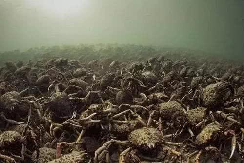 7张图测你有没有深海恐惧症,很多人止步第二张,最后一张有惊喜