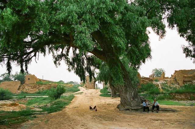 「通过故事」解密民间惊天骗局——双鱼玉佩事件（上）