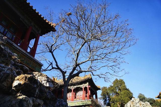 秋冬时节，游历北京故宫，宫苑深深讲述着过去
的故事