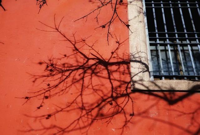 秋冬时节，游历北京故宫，宫苑深深讲述着过去
的故事