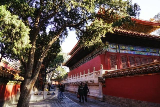 秋冬时节，游历北京故宫，宫苑深深讲述着过去
的故事