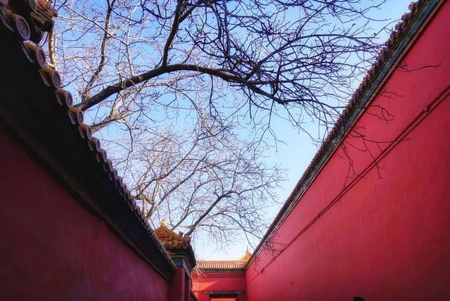 秋冬时节，游历北京故宫，宫苑深深讲述着过去
的故事