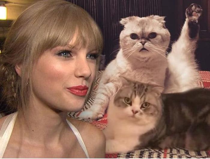 名人的宠物故事：普京获赠新宠物狗，德云社于谦老师的宠物最多