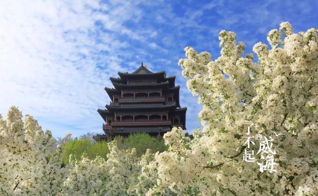 青砖黛瓦，百年环翠，藏着说不完的故事……