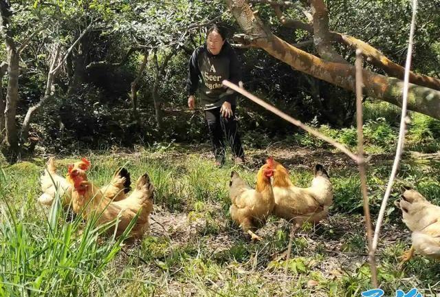 右眼失明、丈夫过世……这个象山媳妇的创业故事很励志