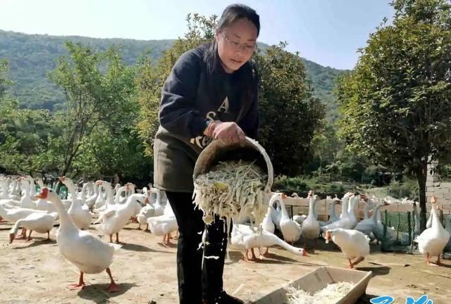 右眼失明、丈夫过世……这个象山媳妇的创业故事很励志