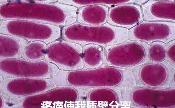 第一批90后的头已秃,胃已垮这真是个悲伤的故事