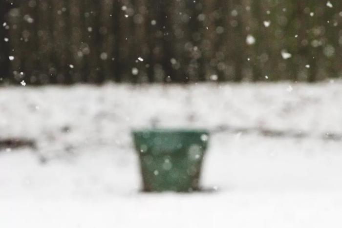 这首歌很美，但背后的故事太戳心