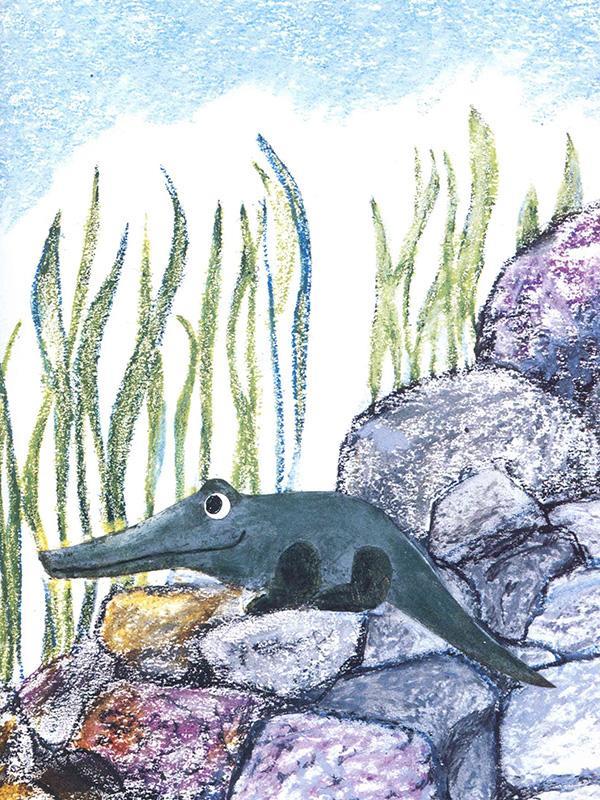 儿童绘本故事推荐《一只奇特的蛋》