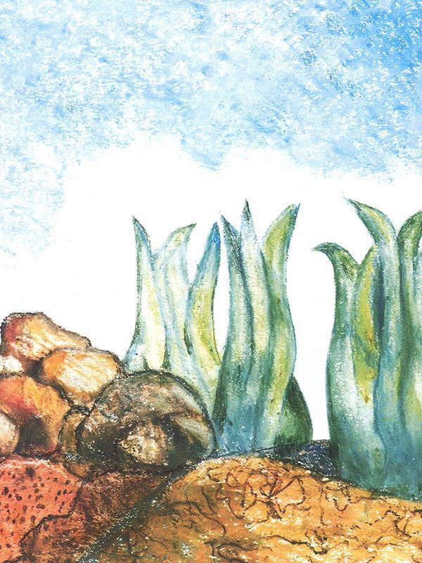 儿童绘本故事推荐《一只奇特的蛋》