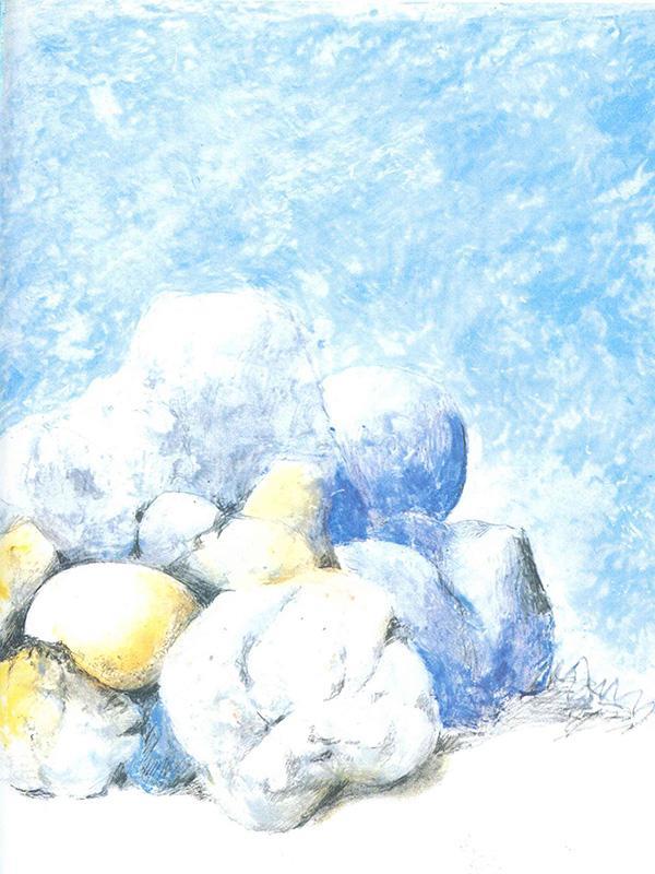 儿童绘本故事推荐《一只奇特的蛋》