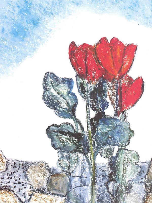 儿童绘本故事推荐《一只奇特的蛋》