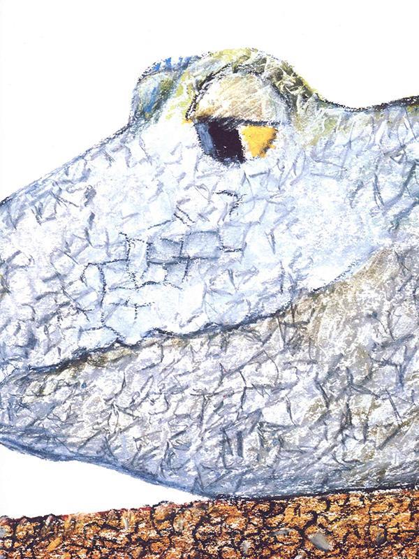 儿童绘本故事推荐《一只奇特的蛋》