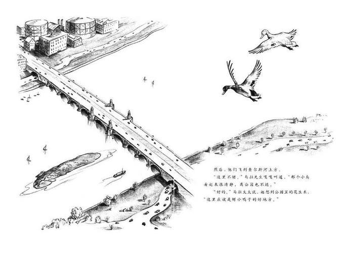 儿童绘本故事推荐《让路给小鸭子》