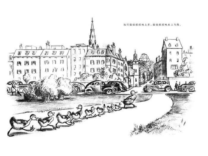 儿童绘本故事推荐《让路给小鸭子》