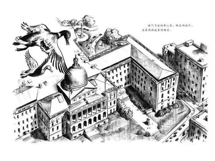 儿童绘本故事推荐《让路给小鸭子》