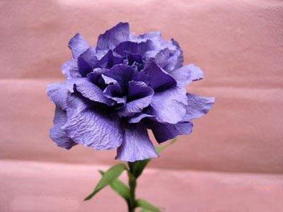 12生肖中，最具狐狸精潜质的三大生肖女，风情万种，姿态万千