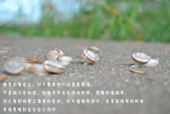 蜗小牛的爱情故事