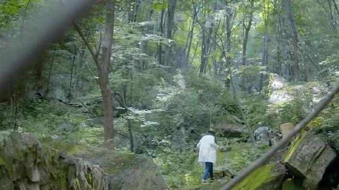 网红杨霞凭空消失，所卖蜂蜜质量遭质疑，故事原来是编撰的？