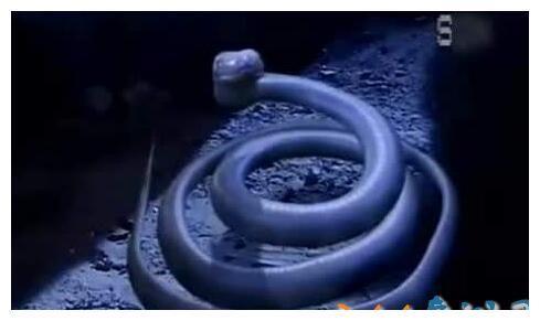 刘邦斩白蛇神话故事，一刀把大汉朝斩两段