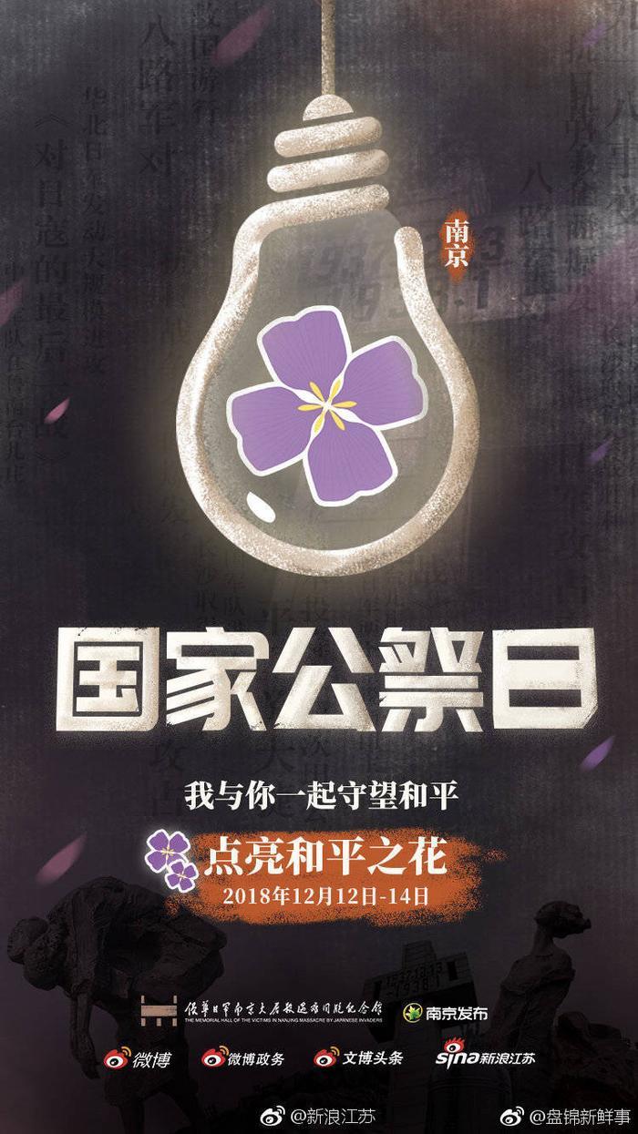 这是一个真实故事：紫金草因在南京紫金山采集而得名