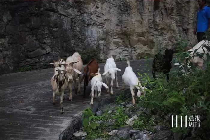 《怒晴湘西》爆火,这片自带神奇色彩的秘境,远比你想象的更“勾魂”