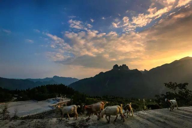 《怒晴湘西》爆火,这片自带神奇色彩的秘境,远比你想象的更“勾魂”