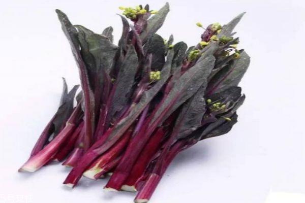 什么是红菜苔呢 红菜苔有什么营养价值呢 什么是红菜苔呢 红菜苔有什么营养价值呢