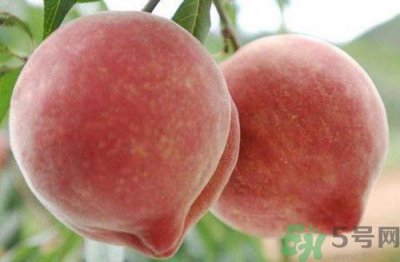 ​为什么会对桃子过敏?桃子过敏症是什么