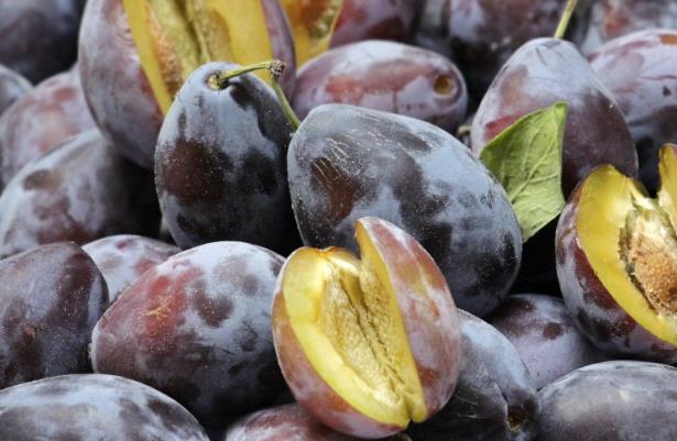 西梅干的功效与作用 一天吃几个西梅干治便秘 西梅干的功效与作用 一天吃几个西梅干治便秘