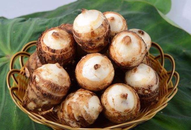 芋子的作用与功效与作用 芋子的作用与功效与作用禁忌 芋子的作用与功效与作用 芋子的作用与功效与作用禁忌