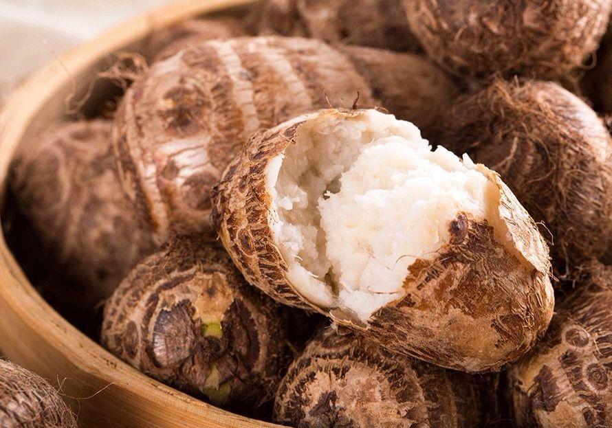 芋子的作用与功效与作用 芋子的作用与功效与作用禁忌 芋子的作用与功效与作用 芋子的作用与功效与作用禁忌