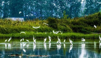 ​大通湖，江南最美的梦里水乡
