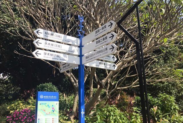 哈尔滨工业大学深圳校区，广东分数最高的高校，校园环境极好