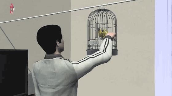 深圳鹦鹉案改判两年,王鹏最早46天后出狱