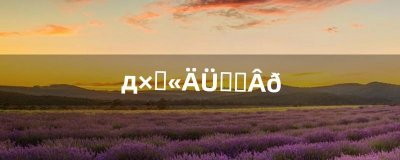 ​写自传能赚钱吗（农妇5年坚持写网文月赚20万)