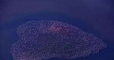 翻车｜江一燕拿建筑大奖遭群嘲，虚伪人设早被黄渤一语揭穿