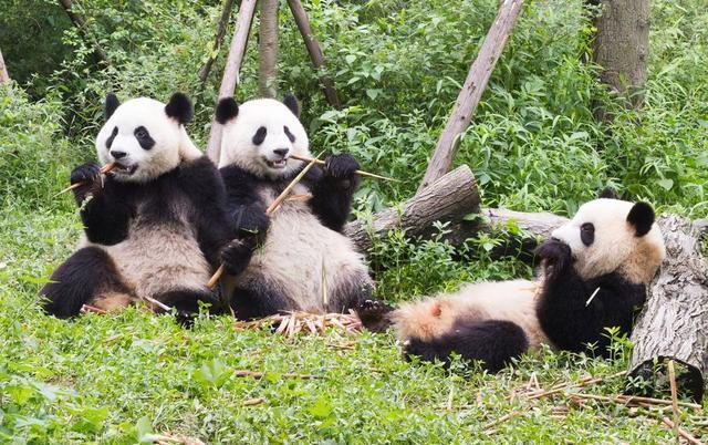 成都十大必玩排行榜，养眼美女的聚集地，你去过哪一些呢？