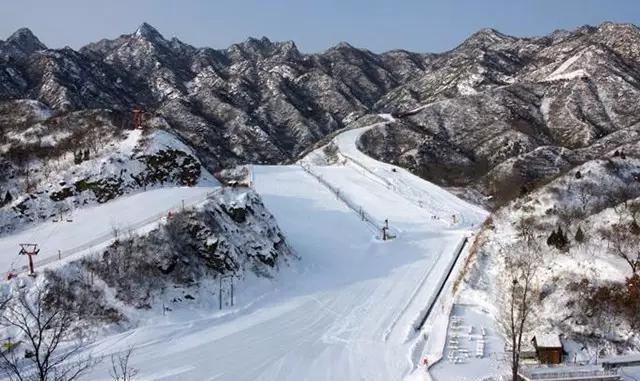 惊爆！一个北京姑娘的征婚启事