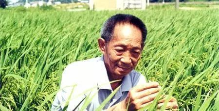 惊爆！一个北京姑娘的征婚启事