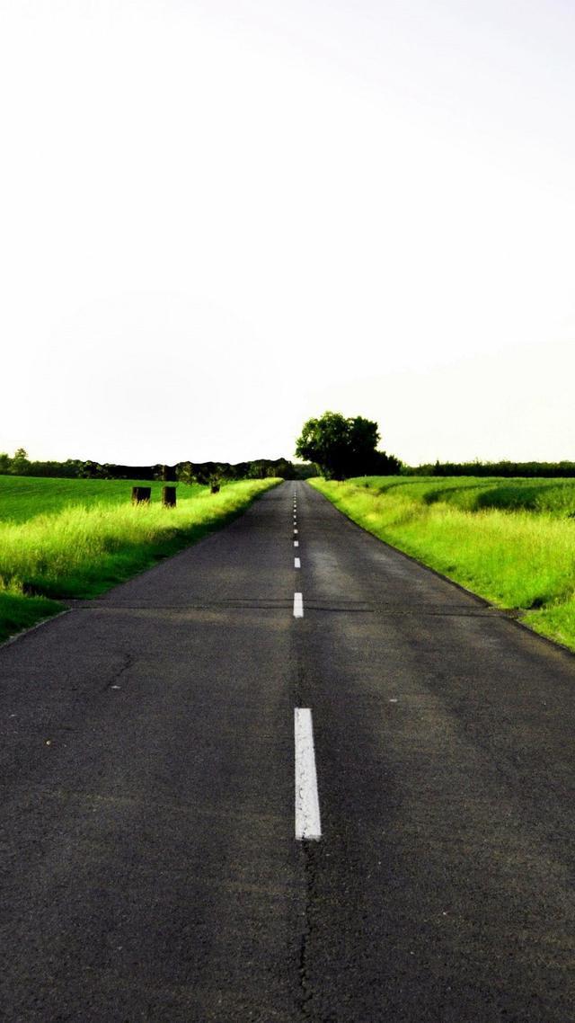 32张非常漂亮的微信7.0聊天背景图片大全 绿色护眼也适合做壁纸！