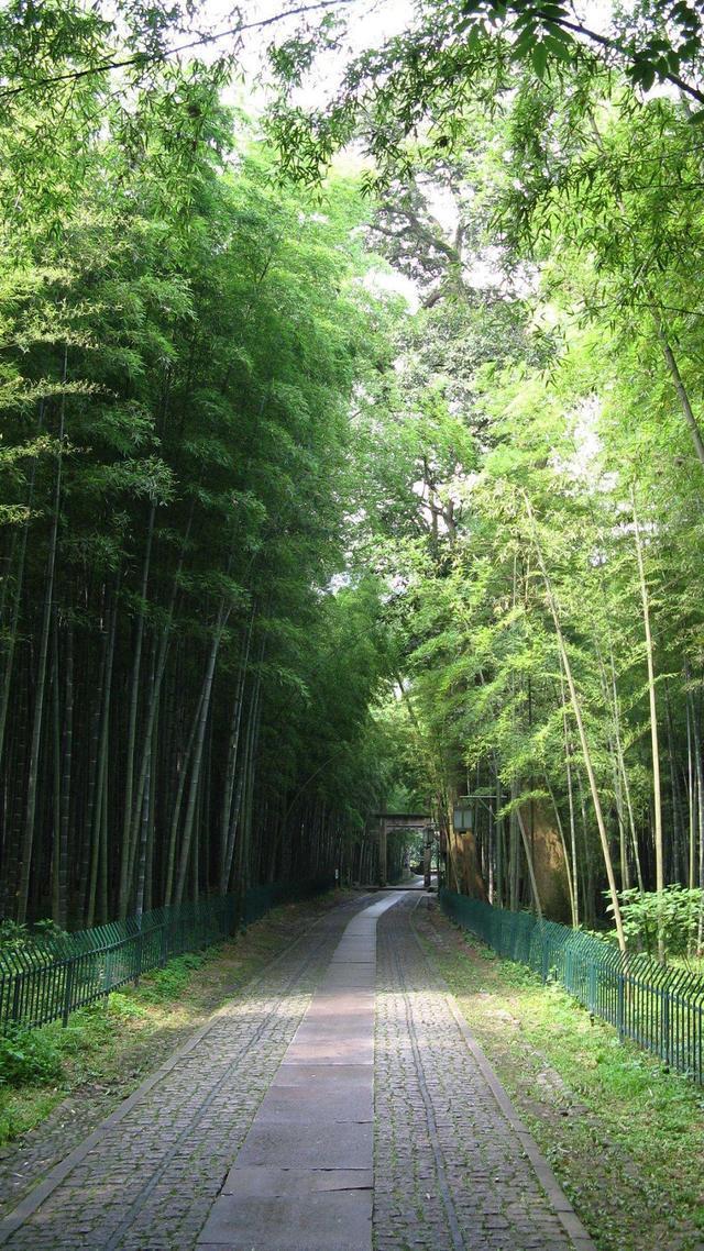 32张非常漂亮的微信7.0聊天背景图片大全 绿色护眼也适合做壁纸！