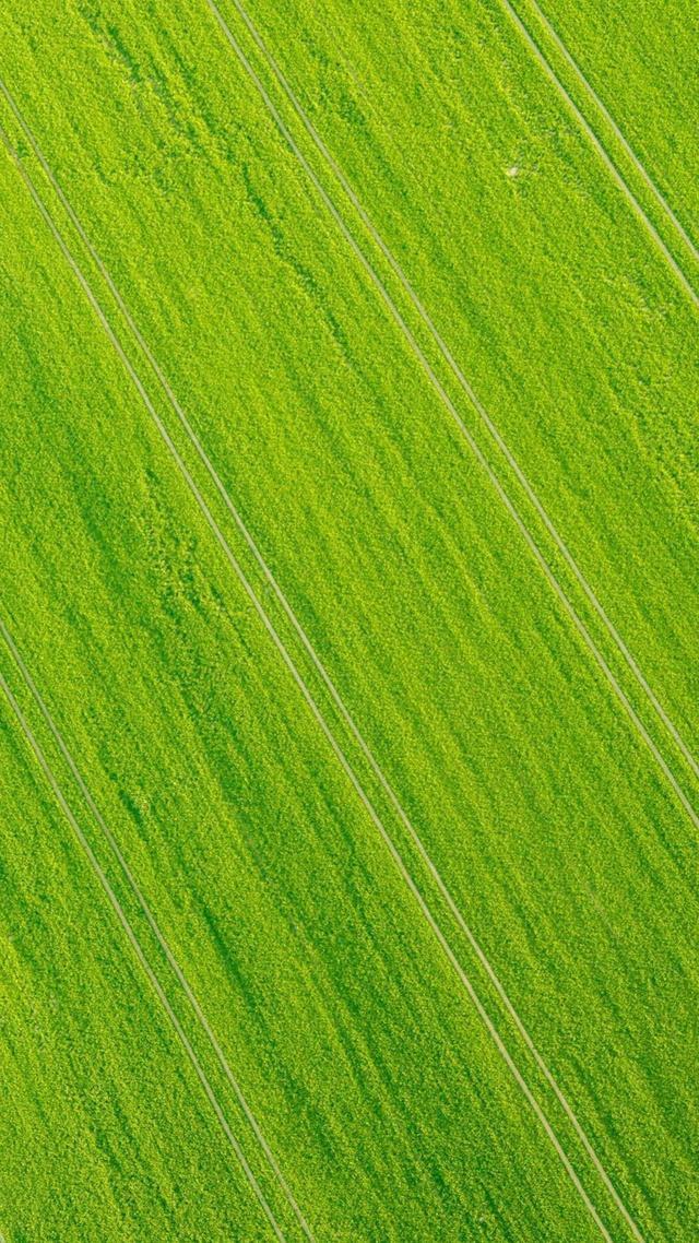 32张非常漂亮的微信7.0聊天背景图片大全 绿色护眼也适合做壁纸！