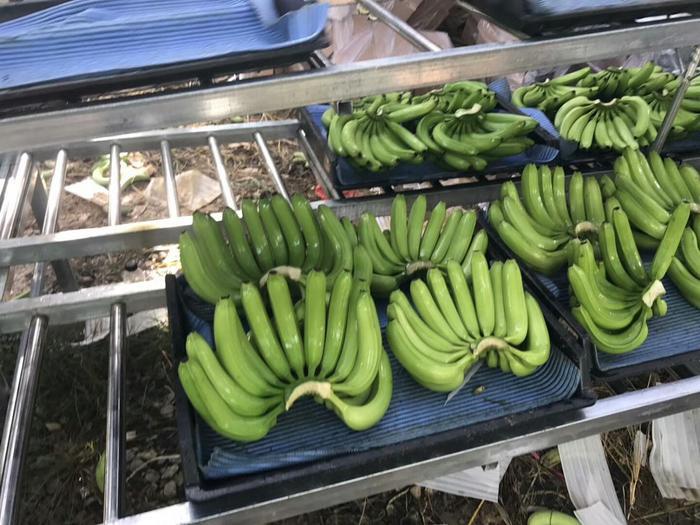 最让人讨厌的农村亲戚，遇上一个要倒霉一辈子